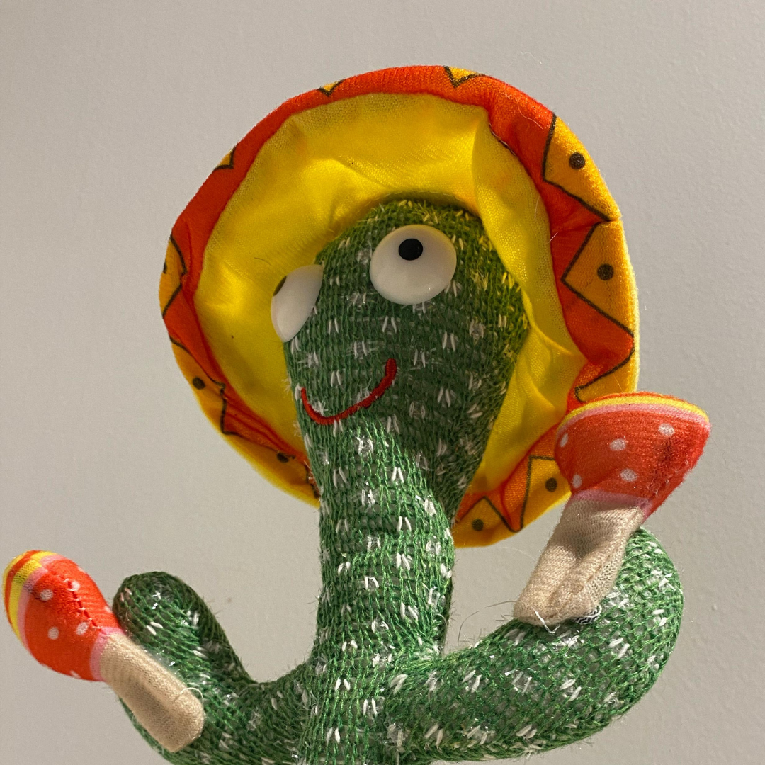 Cactus bailarín imitador de voz
