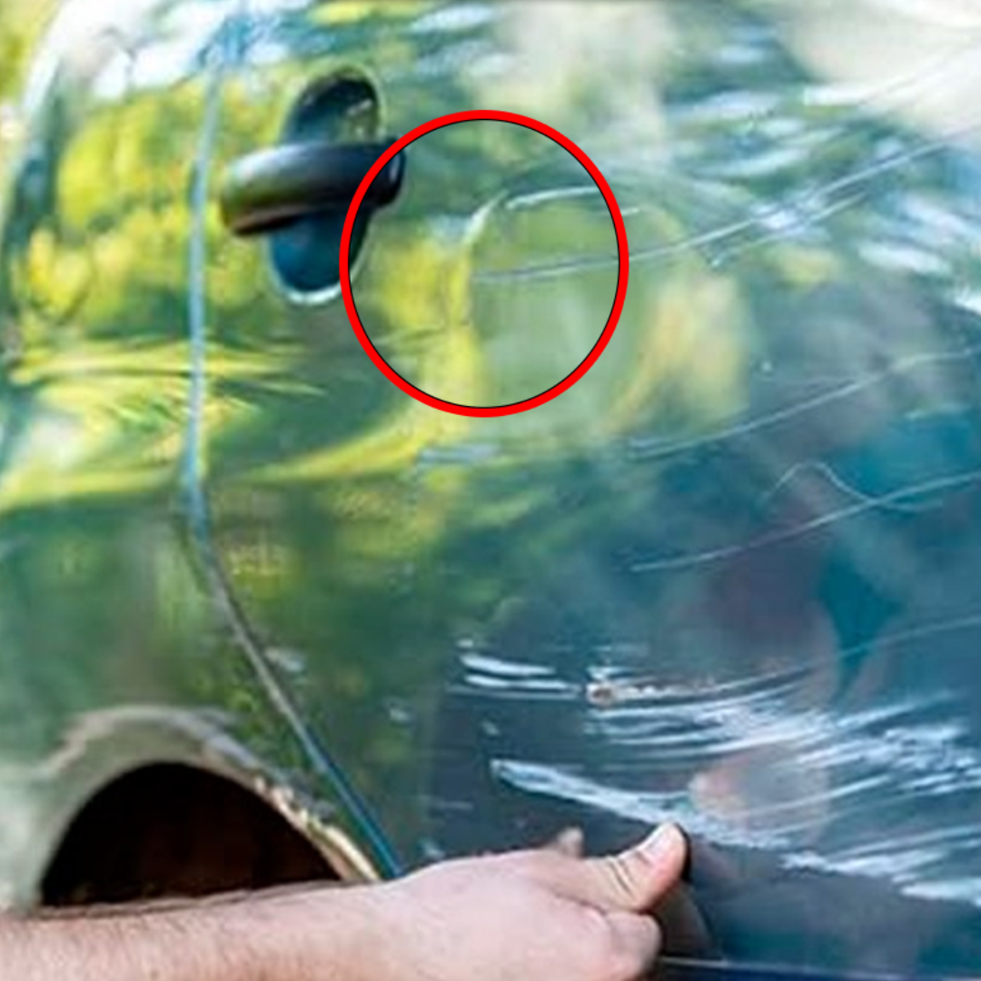 CERA QUITA RAYONES PARA AUTO
